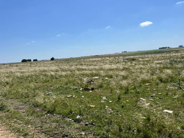 300 hectáreas. Agrícola Ganadero en San José Uruguay